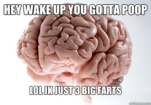 hey wake up you gotta poop lol jk just 3 big farts - Scumbag Brain