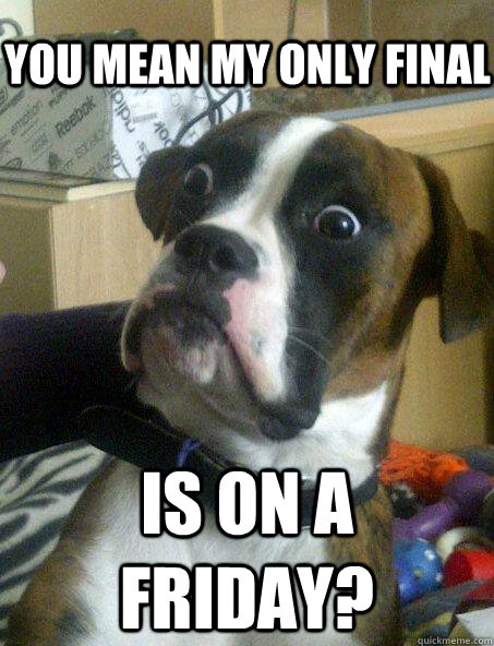 you mean my only final is on a friday - Baffled boxer