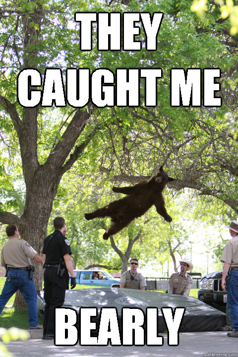 they caught me bearly - Boulder Bear