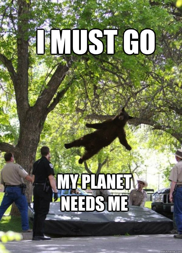 i must go my planet needs me - Falling Bear