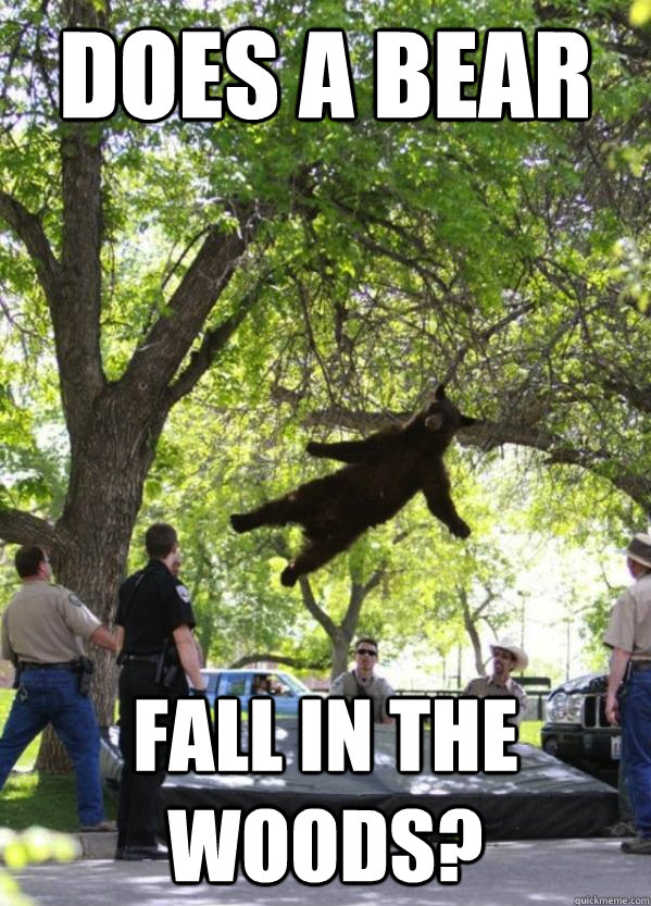 does a bear fall in the woods - Falling Bear