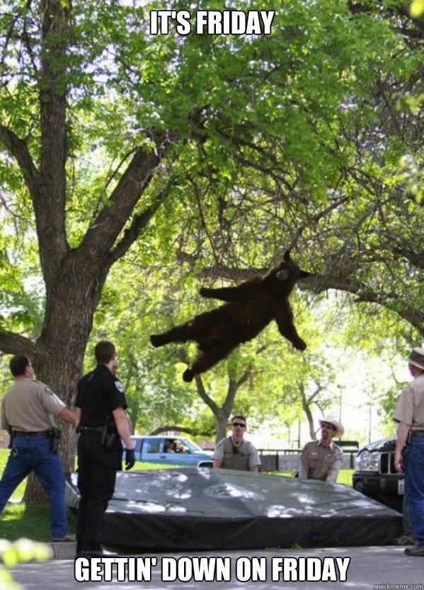 its friday gettin down on friday - Falling Bear