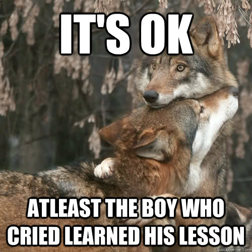its ok atleast the boy who cried learned his lesson - Comfort Wolf
