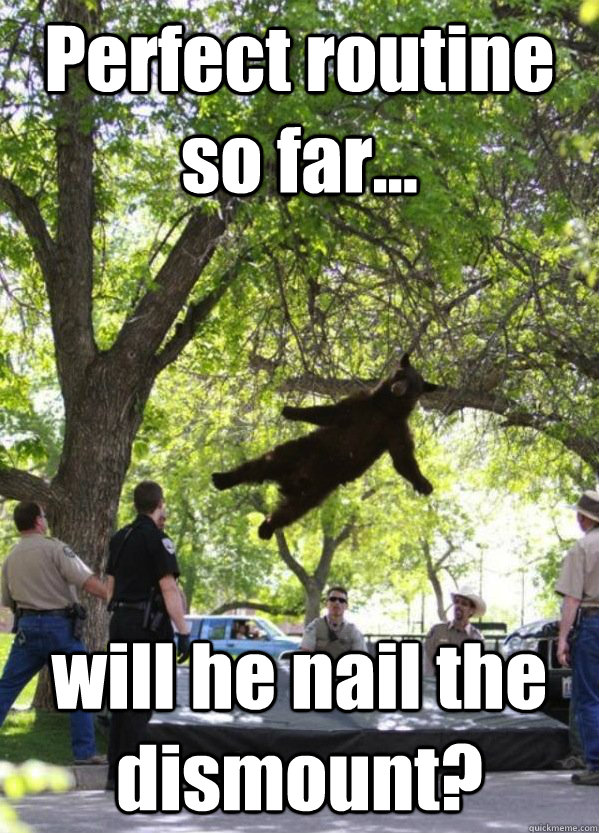 perfect routine so far will he nail the dismount - Falling Bear
