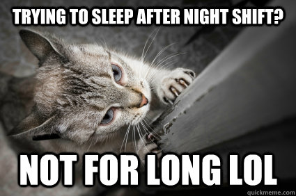 trying to sleep after night shift not for long lol - Cat scratching