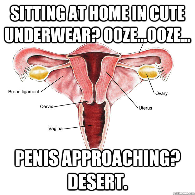 sitting at home in cute underwear oozeooze penis appr - Scumbag Uterus