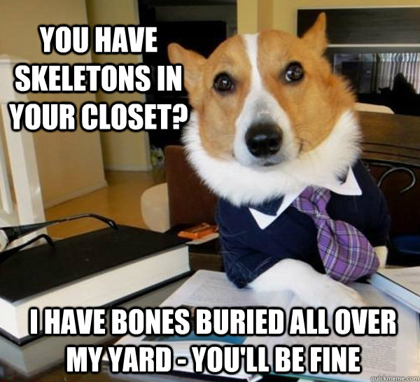 you have skeletons in your closet i have bones buried all o - Lawyer Dog