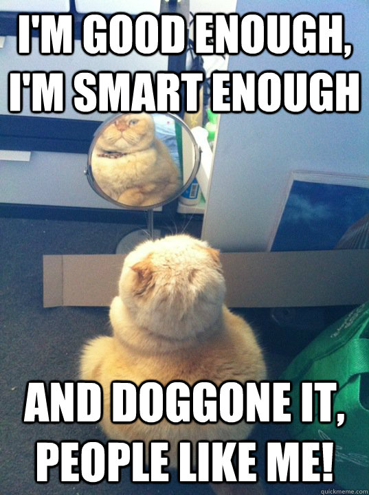 im good enough im smart enough and doggone it people lik - Affirmation Cat