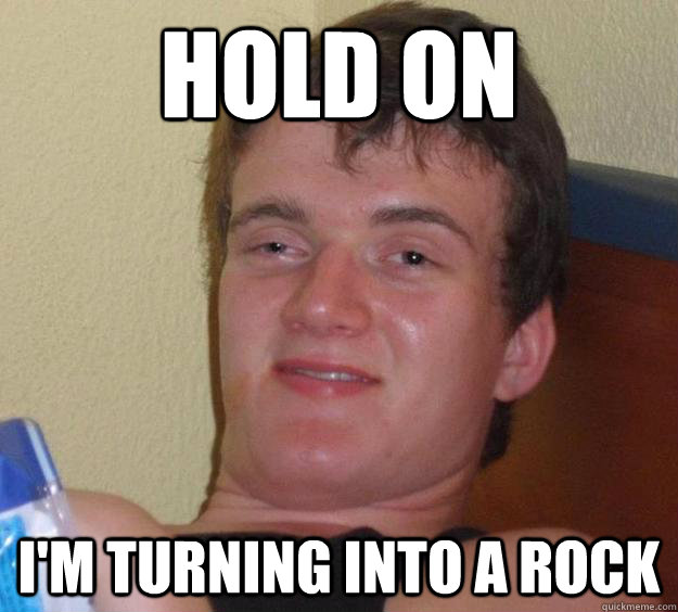 hold on im turning into a rock - 10 Guy
