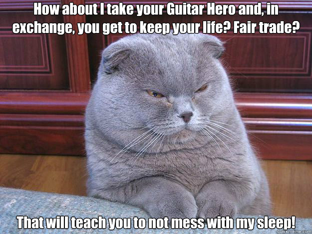 how about i take your guitar hero and in exchange you get - Grumpy Cat