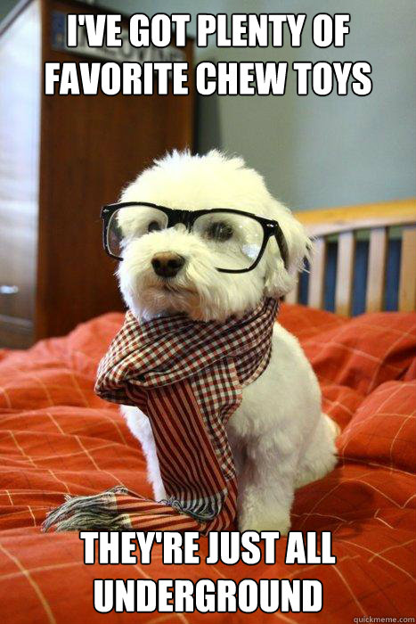 ive got plenty of favorite chew toys theyre just all under - Hipster Dog