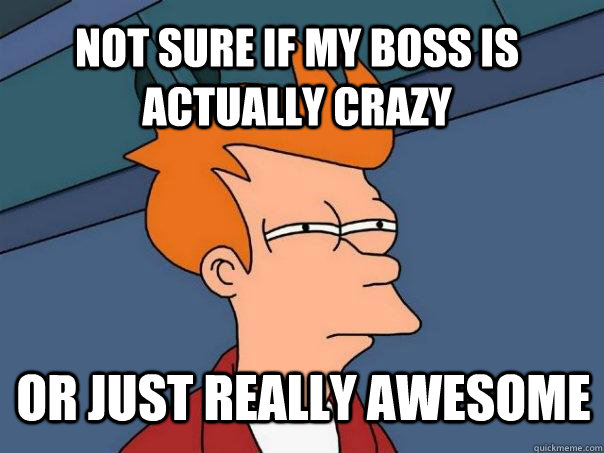 not sure if my boss is actually crazy or just really awesome - Futurama Fry