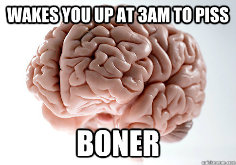 wakes you up at 3am to piss boner - Scumbag Brain