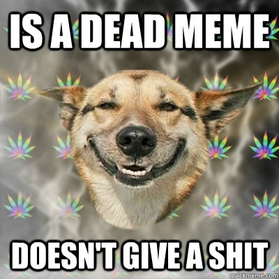 is a dead meme doesnt give a shit - Stoner Dog