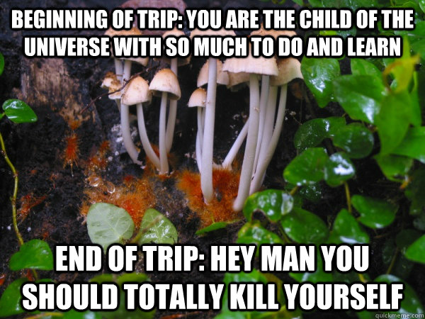 beginning of trip you are the child of the universe with so - Scumbag Mushrooms