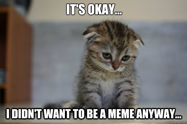 its okay i didnt want to be a meme anyway - Sad Kitten