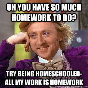 oh you have so much homework to do try being homeschooleda - Condescending Wonka