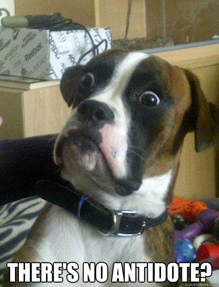 theres no antidote - Baffled boxer