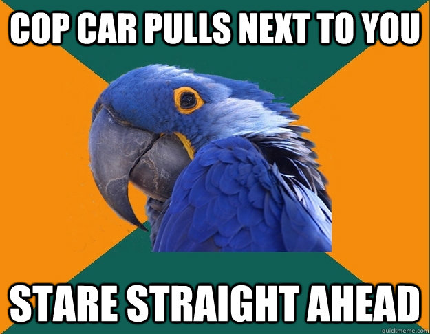 cop car pulls next to you stare straight ahead - Paranoid Parrot