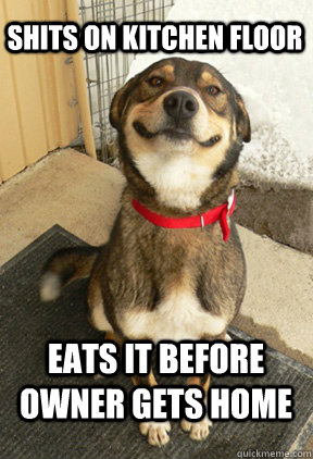 shits on kitchen floor eats it before owner gets home - Good Dog Greg