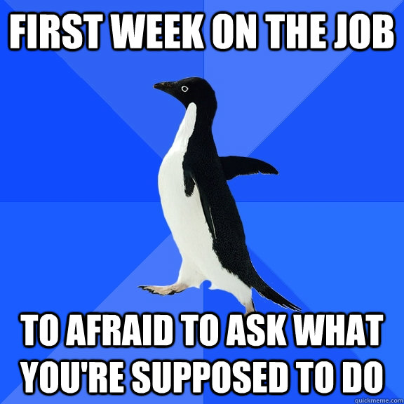 first week on the job to afraid to ask what youre supposed - Socially Awkward Penguin