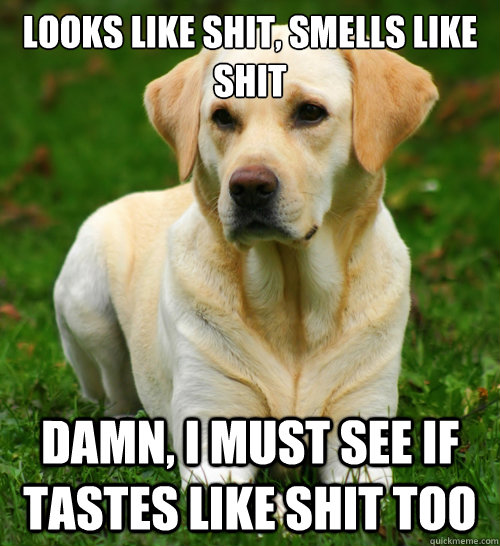 looks like shit smells like shit damn i must see if tastes - Dog Logic