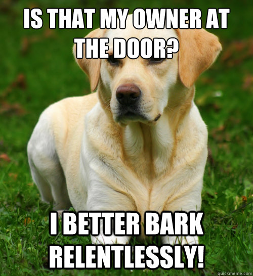 is that my owner at the door i better bark relentlessly - Dog Logic