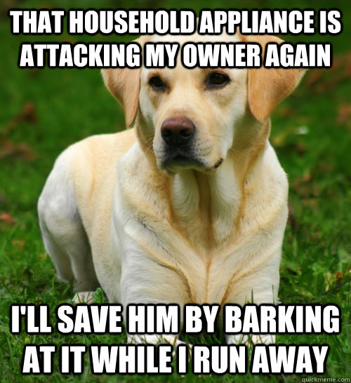 that household appliance is attacking my owner again ill sa - Dog Logic