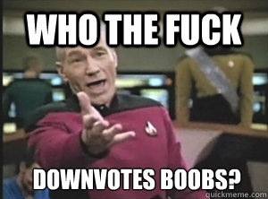 who the fuck downvotes boobs - Annoyed Picard