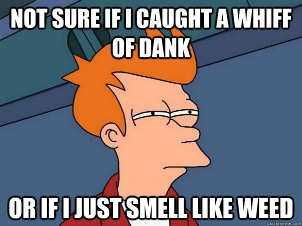 not sure if i caught a whiff of dank or if i just smell like - Futurama Fry