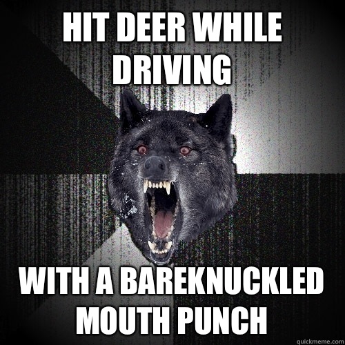 Hit deer while driving with a bareknuckled mouth punch - Insanity Wolf