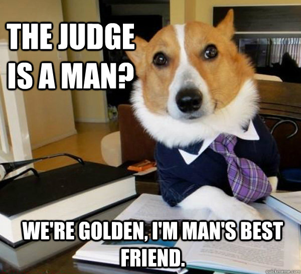 the judge is a man were golden im mans best friend - Lawyer Dog