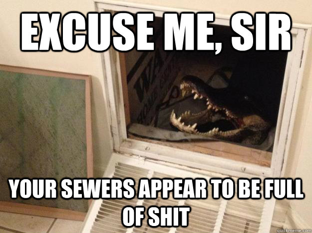 excuse me sir your sewers appear to be full of shit - Questioning croc