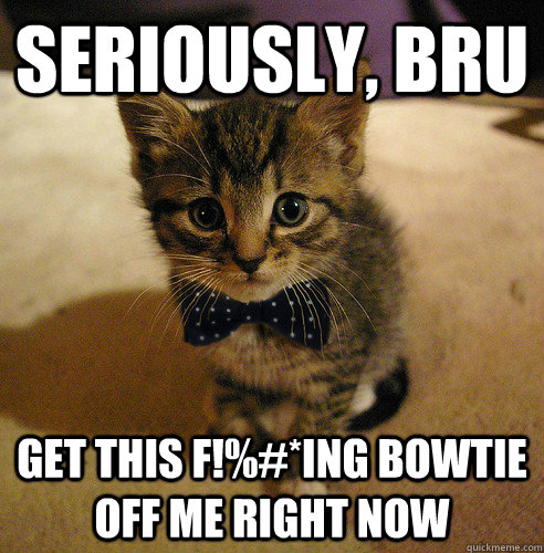seriously bru get this fing bowtie off me right now - Dissapointed Cat