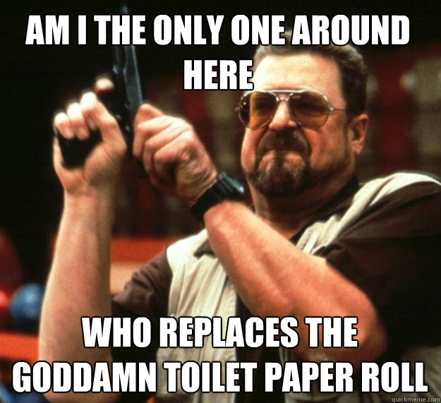 am i the only one around here who replaces the goddamn toile - Walter