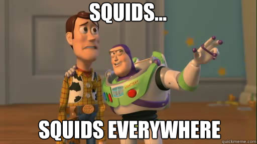 squids squids everywhere - Everywhere