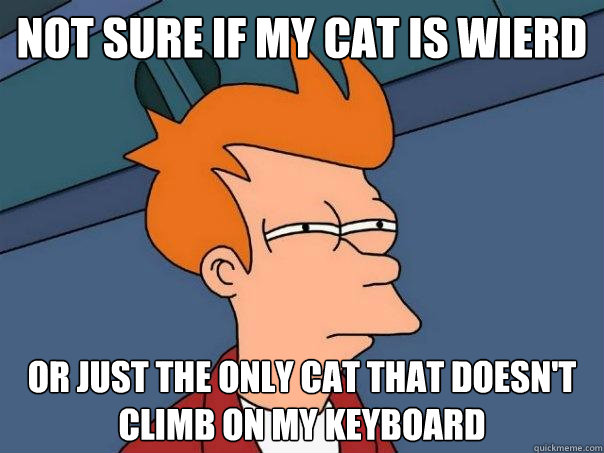 not sure if my cat is wierd or just the only cat that doesn - Futurama Fry