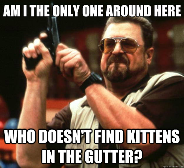 am i the only one around here who doesnt find kittens in th - Big Lebowski