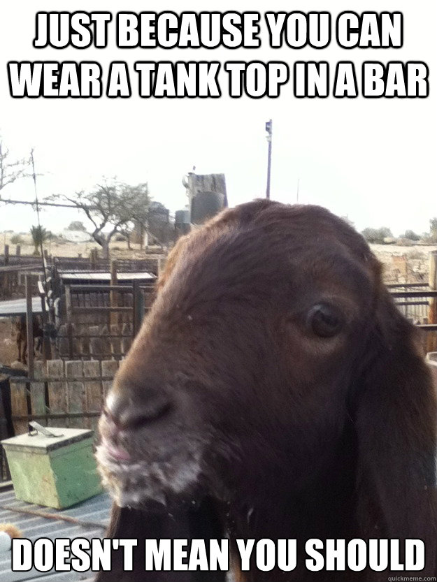 just because you can wear a tank top in a bar doesnt mean y - Rational Goat