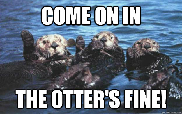 come on in the otters fine - Otter Puns