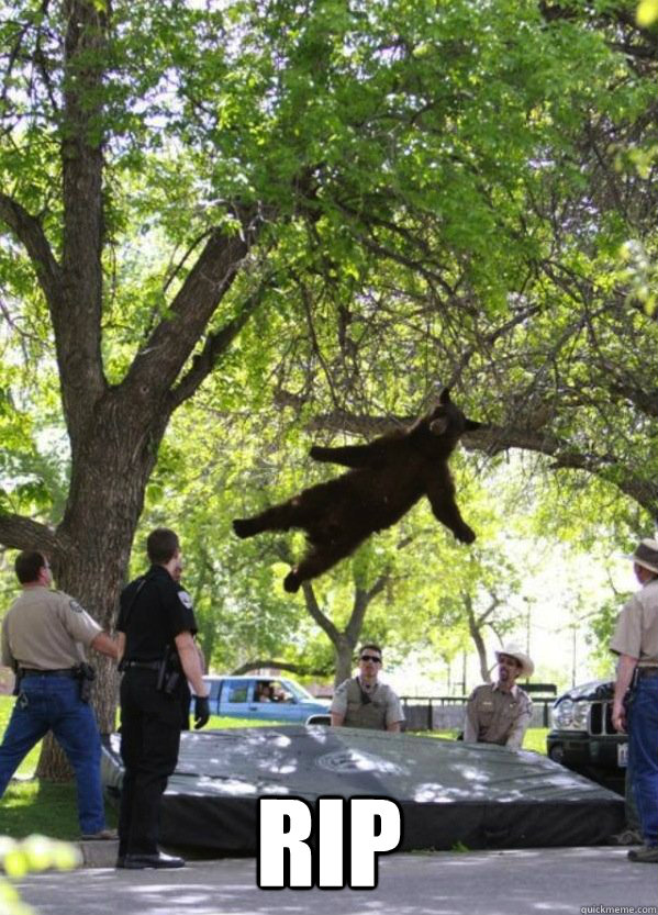 rip - i am a falling bear