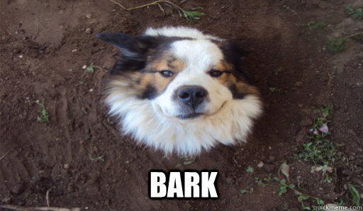 bark - Tree Dog