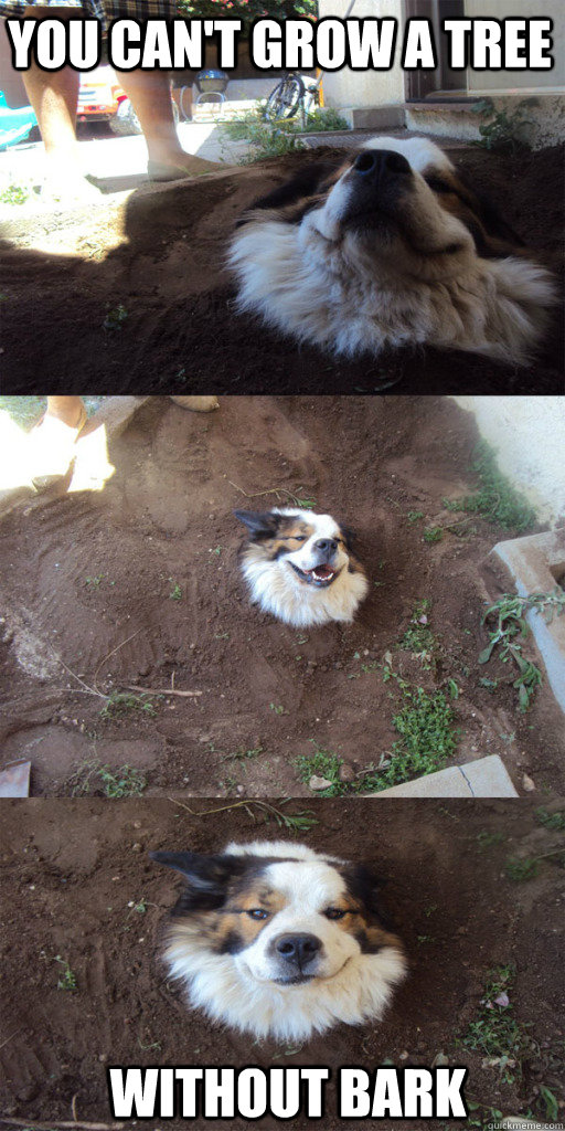 you cant grow a tree without bark -