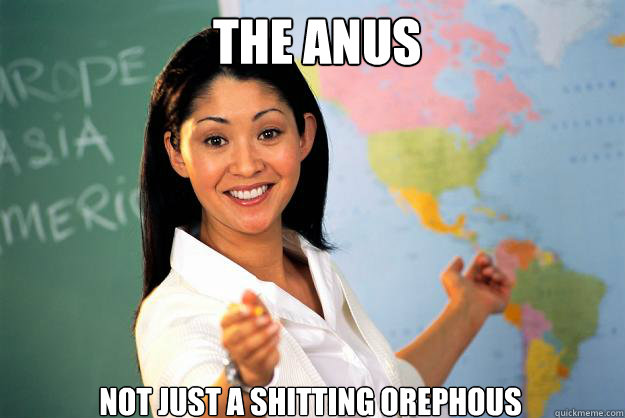 the anus not just a shitting orephous - Unhelpful High School Teacher