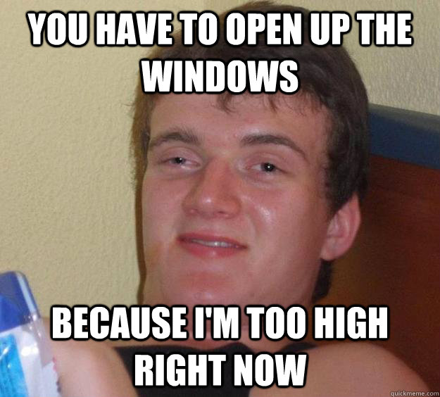 you have to open up the windows because im too high right n - 10 Guy