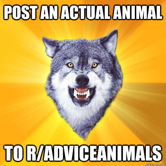 post an actual animal to radviceanimals - Courage Wolf