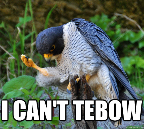 i cant tebow - Success Falcon