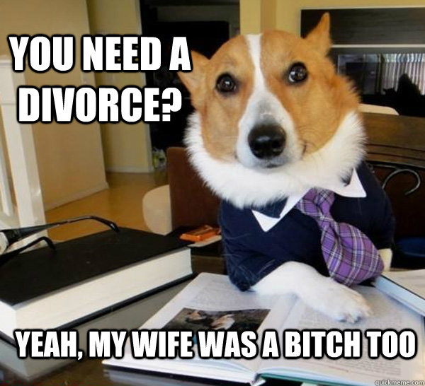 you need a divorce yeah my wife was a bitch too - Lawyer Dog