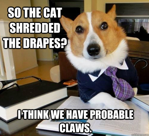 so the cat shredded the drapes i think we have probable cla - Lawyer Dog