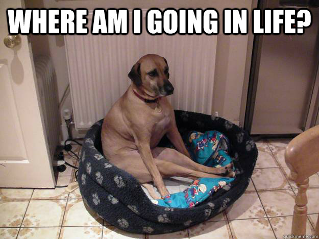where am i going in life -